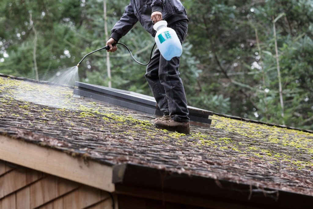 Pressure Washing