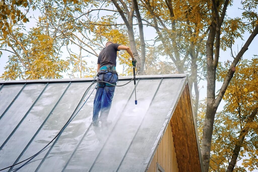 Roof Cleaning