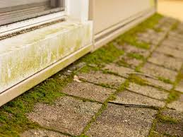 Humidity Impacts Siding