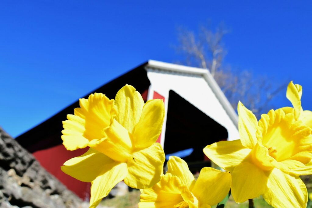 Spring Exterior Cleaning