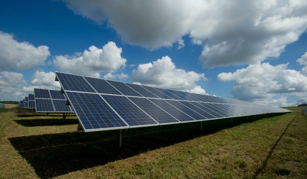 solar panels on green field