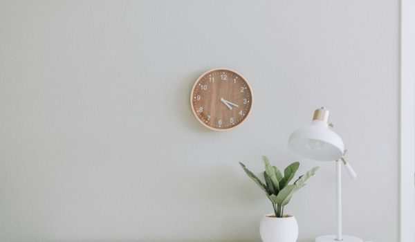 white desk lamp beside green plant